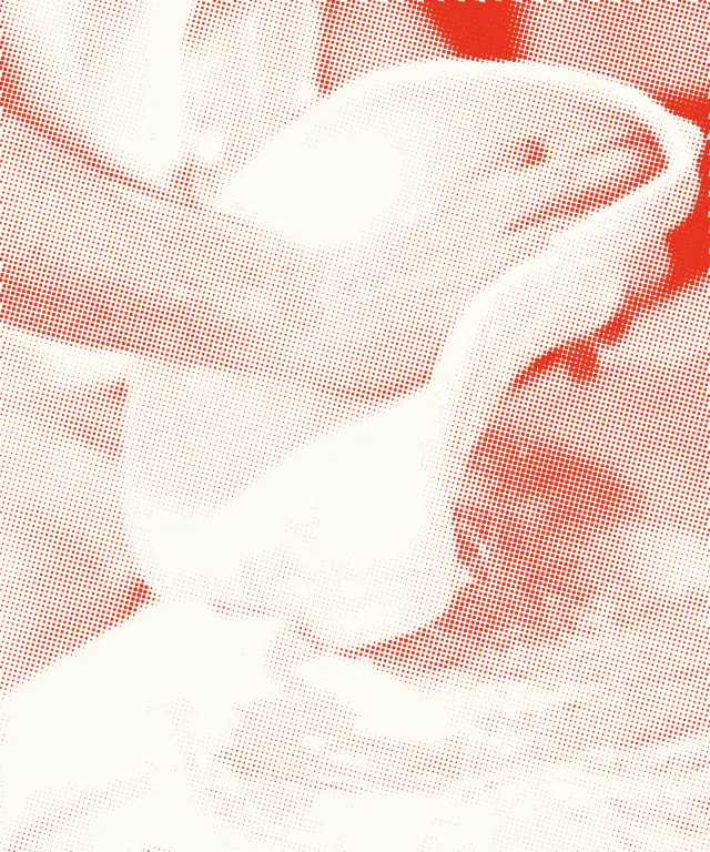 Hands slapping out a round of dough on a floured bench