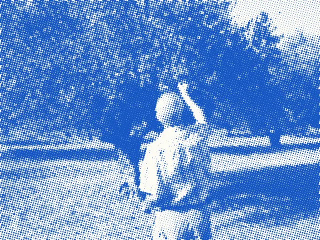 A man reaching into an olive tree in an orchard