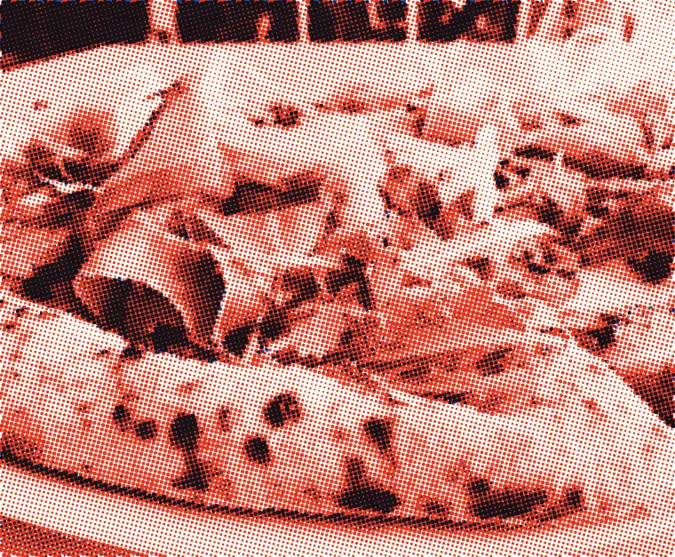 A Primavera pizza up close, printed in red and blue dots: prosciutto, arugula and a blistered crust